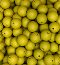 (DISCONTINUED) #71 MOSS 15MM SOLID (10ct)