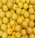 #252 MINION YELLOW 15MM SOLID (10ct)