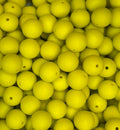 #134 VENOM 15MM SOLID (10ct)