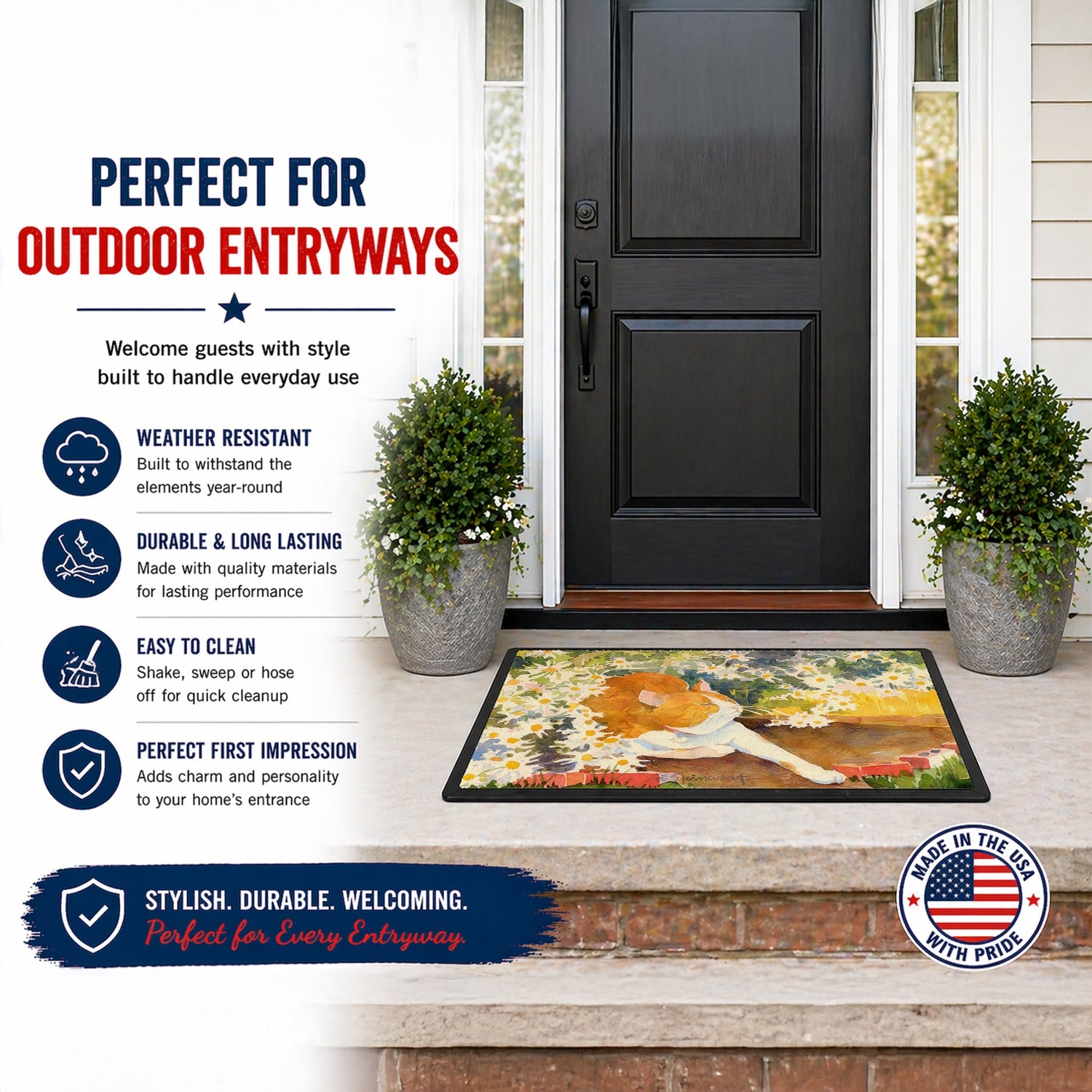 Cat Doormat Indoor Outdoor 24H X 36W Front Door Mat Rugs for Entryway, Non Slip Washable Low Pile,
