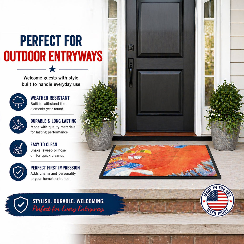 Cat Doormat Indoor Outdoor 18H X 27W Front Door Mat Rugs for Entryway, Non Slip Washable