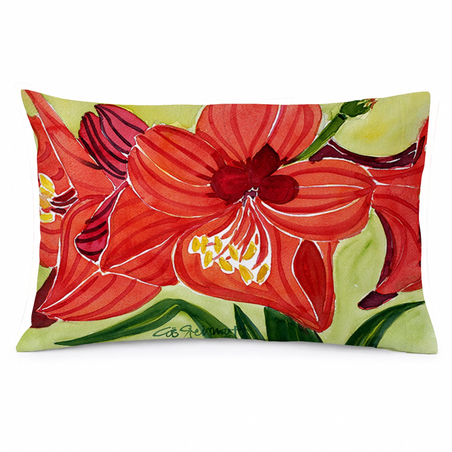 Flower - Amaryllis Standard Pillowcase Lightweight Super Soft Easy Care Decorative Artwork Pillowcase, Standard