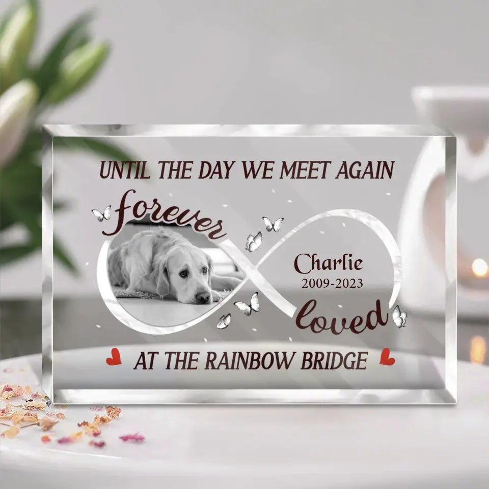 Personalized Memorial Acrylic Plaque - Upload Photo - Memorial Gift Idea For Dog Owners - Until The Day We Meet Again At The Rainbow Bridge