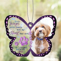 Personalized Pet Memorial Acrylic Ornament - Sympathy Gift For Loss Of Pet - Upload Pet Photo - Your Wings Were Ready But My Heart Was Not