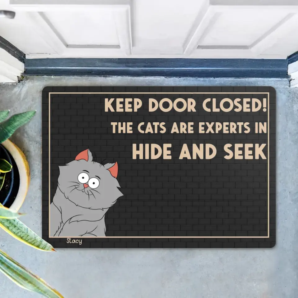 Personalized Cat Doormat - Up to 6 Cats - Gift Idea For Cat Lover - Keep Door Closed! The Cats Are Experts In Hide And Seek