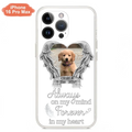 Personalized Memorial Phone Case - Upload Photo - Memorial Gift Idea For Pet Lover - Always On My Mind Forever In My Heart - Case For iPhone/Samsung