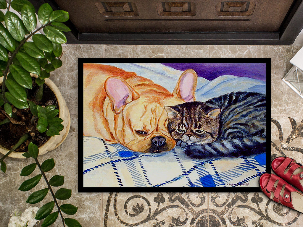 Cat Doormat Indoor Outdoor 24H X 36W Front Door Mat Rugs for Entryway, Non Slip Washable Low Pile,