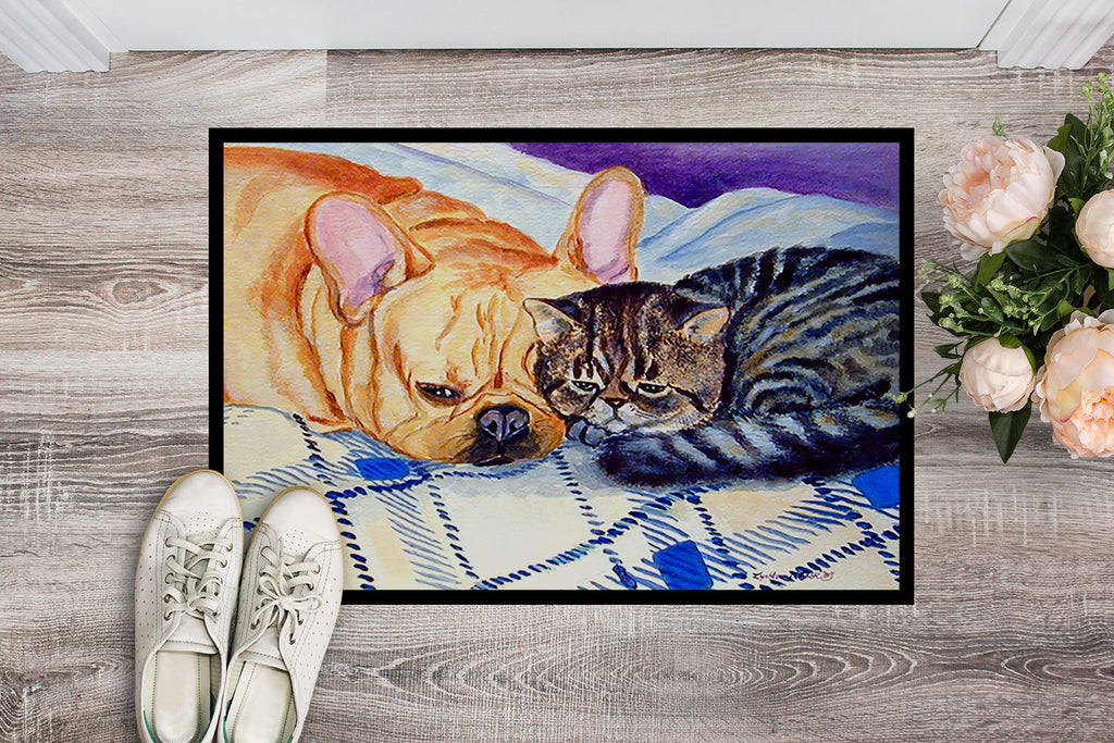 Cat Doormat Indoor Outdoor 18H X 27W Front Door Mat Rugs for Entryway, Non Slip Washable
