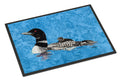 Momma and Baby Loon Doormat Indoor Outdoor 24H X 36W Front Door Mat Rugs for Entryway, Non Slip Washable Low Pile,