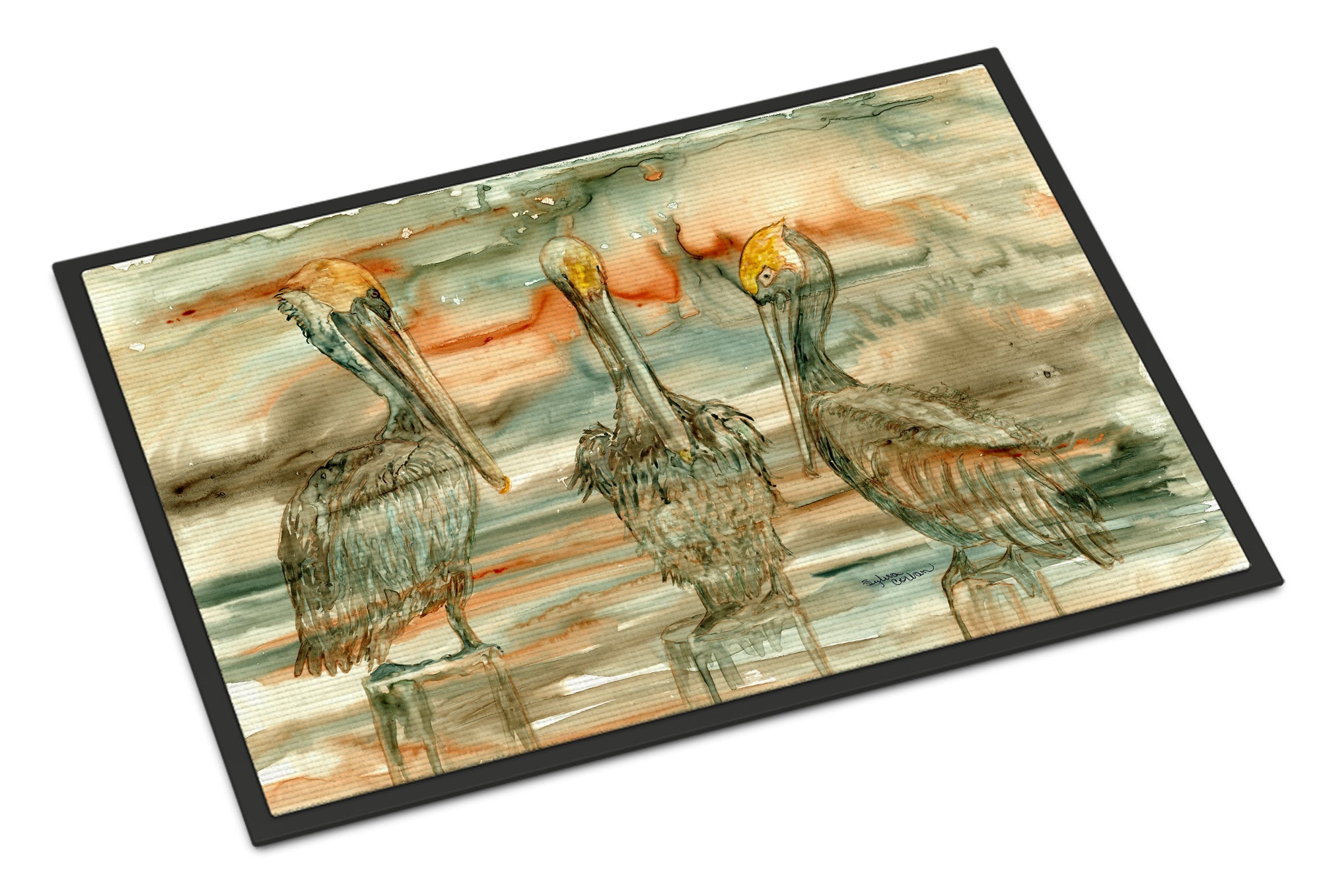 Pelicans on their perch Abstract Doormat Indoor Outdoor 24H X 36W Front Door Mat Rugs for Entryway, Non Slip Washable Low Pile,