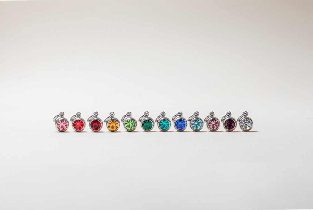 March Birthstone Interchangeable Charm