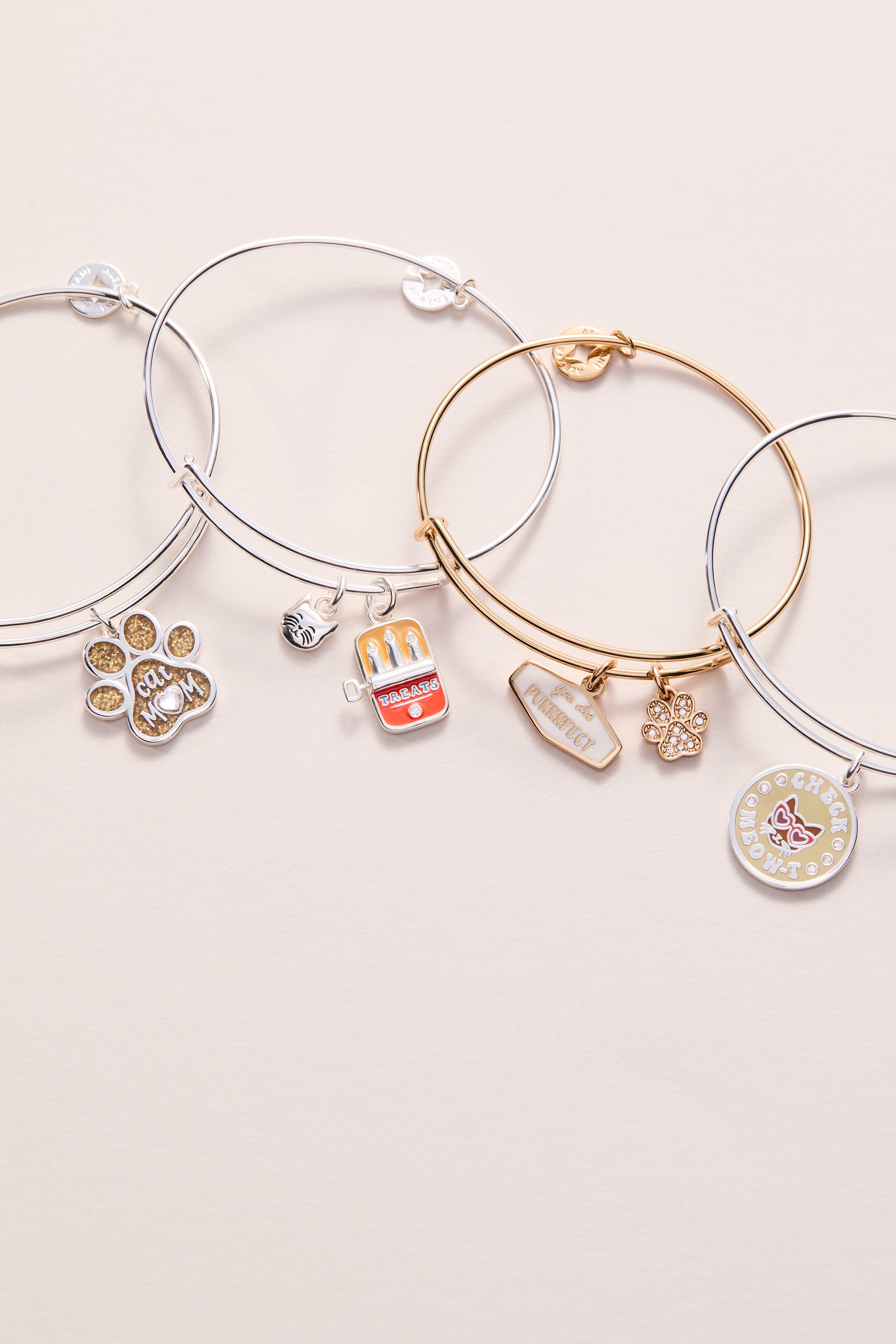 Cat & Sardine Tin Duo Charm Bangle