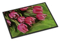Pink Tulips Doormat Indoor Outdoor 24H X 36W Front Door Mat Rugs for Entryway, Non Slip Washable Low Pile,