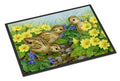 Pheasant Chicks Doormat Indoor Outdoor 24H X 36W Front Door Mat Rugs for Entryway, Non Slip Washable Low Pile,