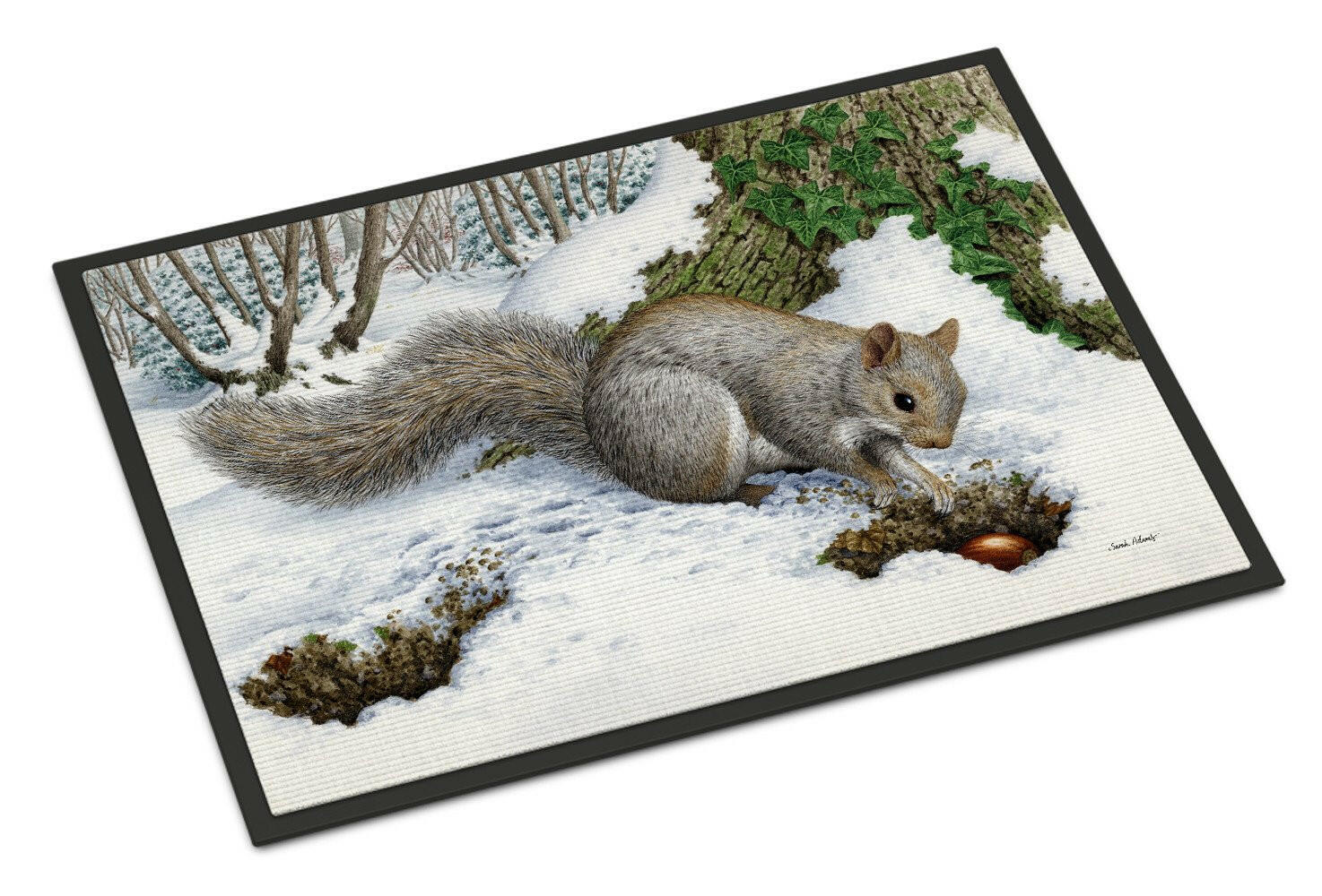 Grey Squirrel Doormat Indoor Outdoor 24H X 36W Front Door Mat Rugs for Entryway, Non Slip Washable Low Pile,
