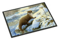 Winter Otter Doormat Indoor Outdoor 24H X 36W Front Door Mat Rugs for Entryway, Non Slip Washable Low Pile,