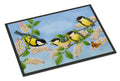 Great Tit Family of Birds Doormat Indoor Outdoor 18H X 27W Front Door Mat Rugs for Entryway, Non Slip Washable