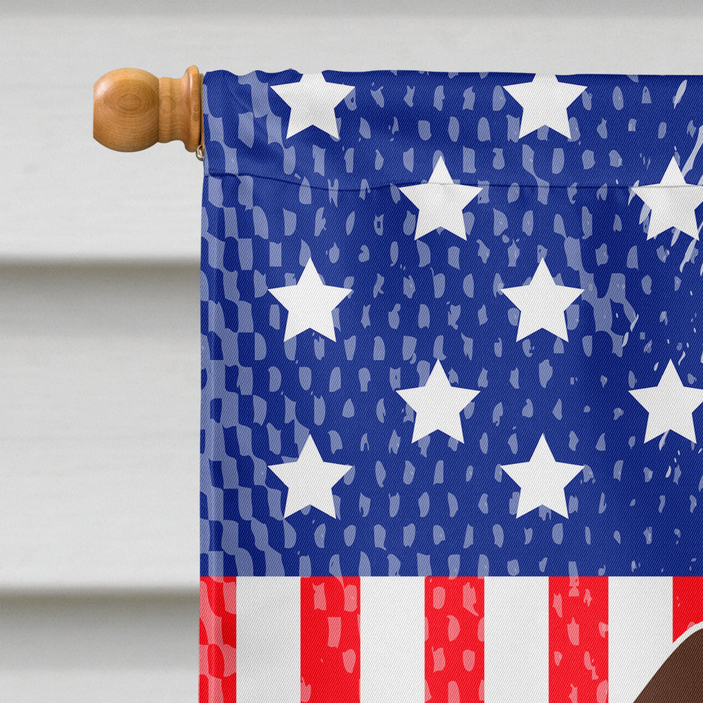Patriotic USA Wire Haired Dachshund Chocolate House Flag 28x40 Porch Sleeve Pole Decorative Outside Yard Banner Artwork Wall Hanging, Polyester