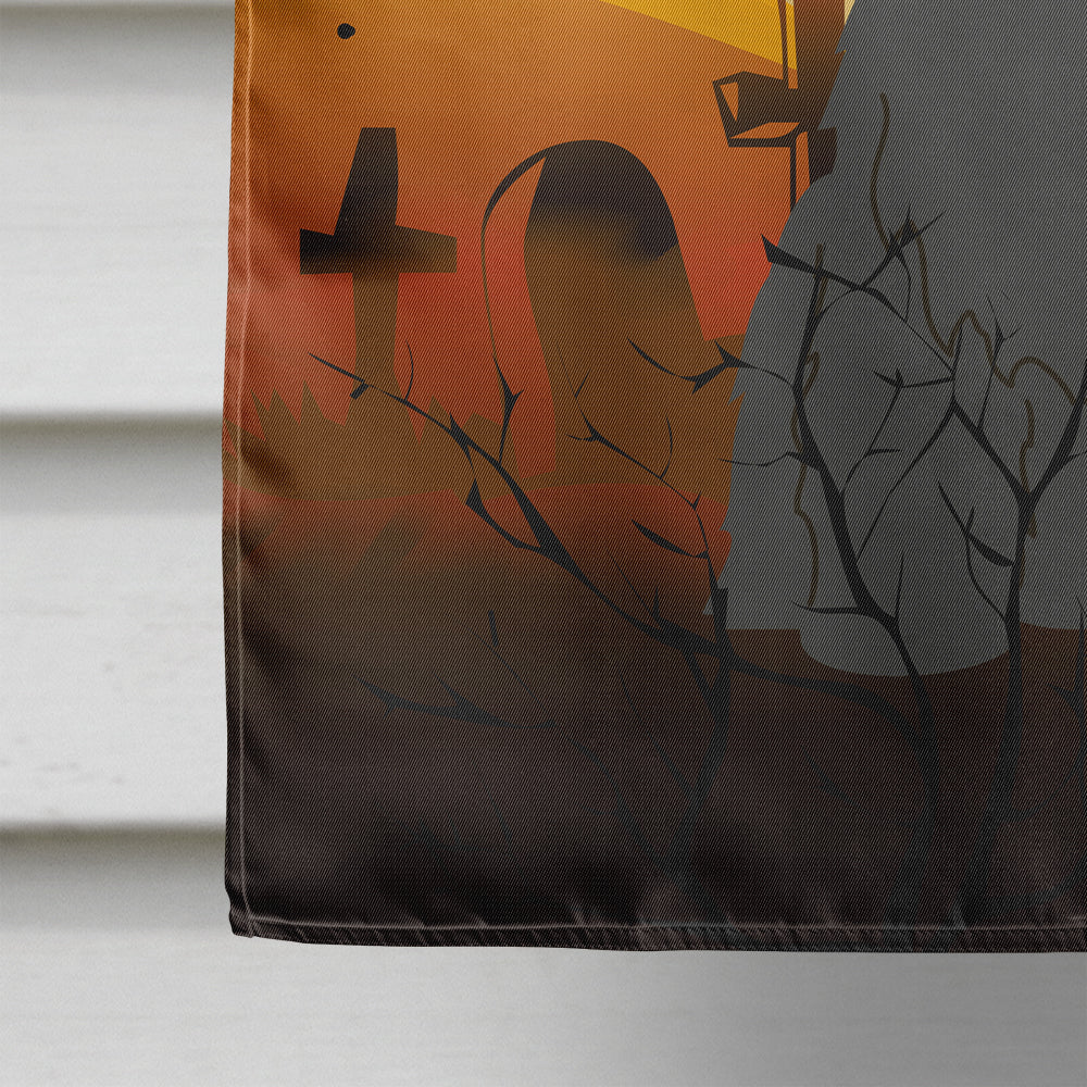 Halloween Briard Black House Flag 28x40 Porch Sleeve Pole Decorative Outside Yard Banner Artwork Wall Hanging, Polyester