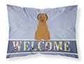 Briard Brown Welcome Standard Pillowcase Lightweight Super Soft Easy Care Decorative Artwork Pillowcase, Standard
