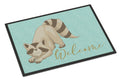 Raccoon Welcome Doormat Indoor Outdoor 24H X 36W Front Door Mat Rugs for Entryway, Non Slip Washable Low Pile,
