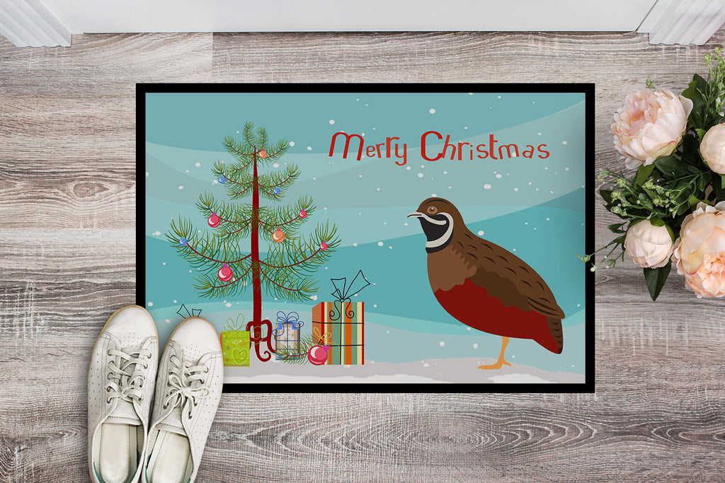 Chinese Painted or King Quail Christmas Doormat Indoor Outdoor 24H X 36W Front Door Mat Rugs for Entryway, Non Slip Washable Low Pile,