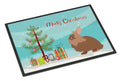 Lionhead Rabbit Christmas Doormat Indoor Outdoor 24H X 36W Front Door Mat Rugs for Entryway, Non Slip Washable Low Pile,