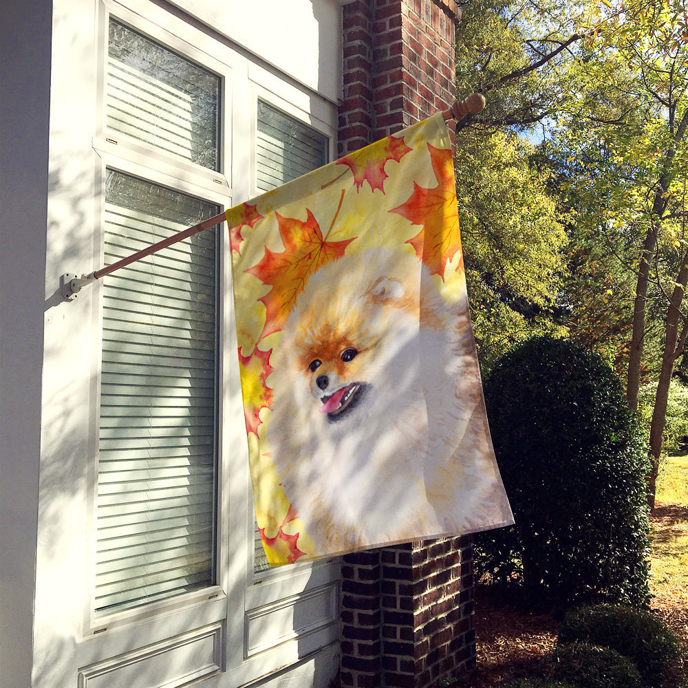 Pomeranian Fall House Flag 28x40 Porch Sleeve Pole Decorative Outside Yard Banner Artwork Wall Hanging, Polyester