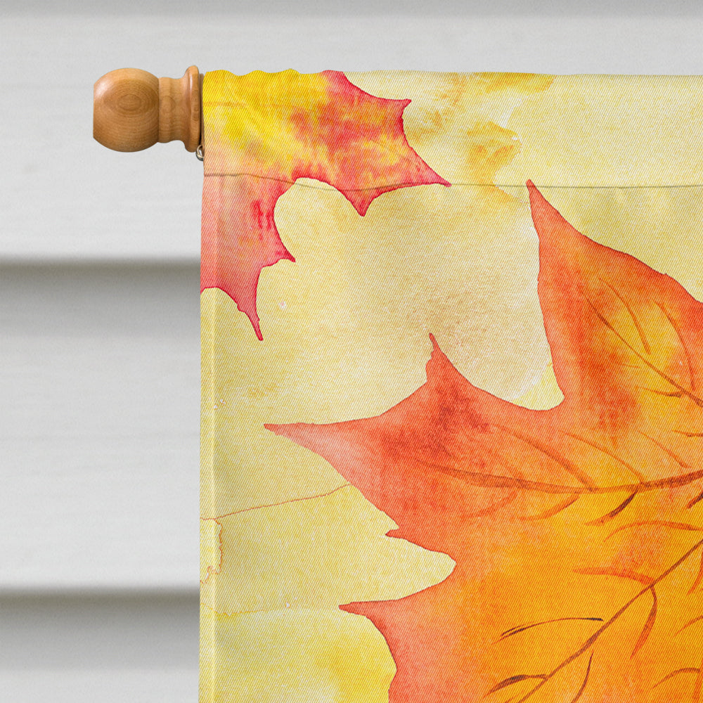 Pomeranian #2 Fall House Flag 28x40 Porch Sleeve Pole Decorative Outside Yard Banner Artwork Wall Hanging, Polyester