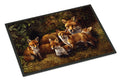 Fox Family Foxes by Daphne Baxter Doormat Indoor Outdoor 18H X 27W Front Door Mat Rugs for Entryway, Non Slip Washable