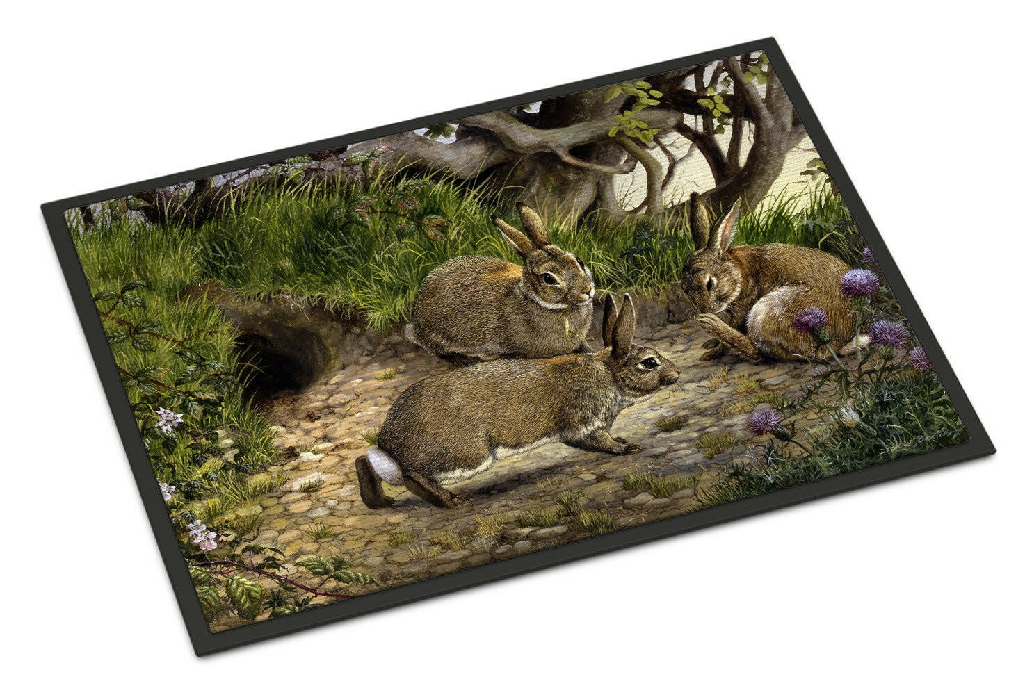 Rabbits and the Rabbit Hole Doormat Indoor Outdoor 18H X 27W Front Door Mat Rugs for Entryway, Non Slip Washable