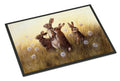 Rabbits in the Dandelions Doormat Indoor Outdoor 18H X 27W Front Door Mat Rugs for Entryway, Non Slip Washable