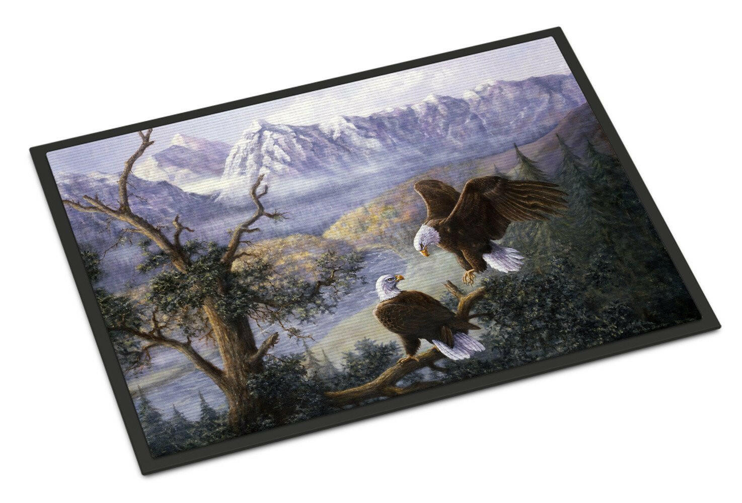 Eagles by Daphne Baxter Doormat Indoor Outdoor 24H X 36W Front Door Mat Rugs for Entryway, Non Slip Washable Low Pile,