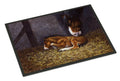 Horse and Her Foal Doormat Indoor Outdoor 18H X 27W Front Door Mat Rugs for Entryway, Non Slip Washable