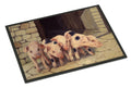 Pigs Piglets by Daphne Baxter Doormat Indoor Outdoor 24H X 36W Front Door Mat Rugs for Entryway, Non Slip Washable Low Pile,