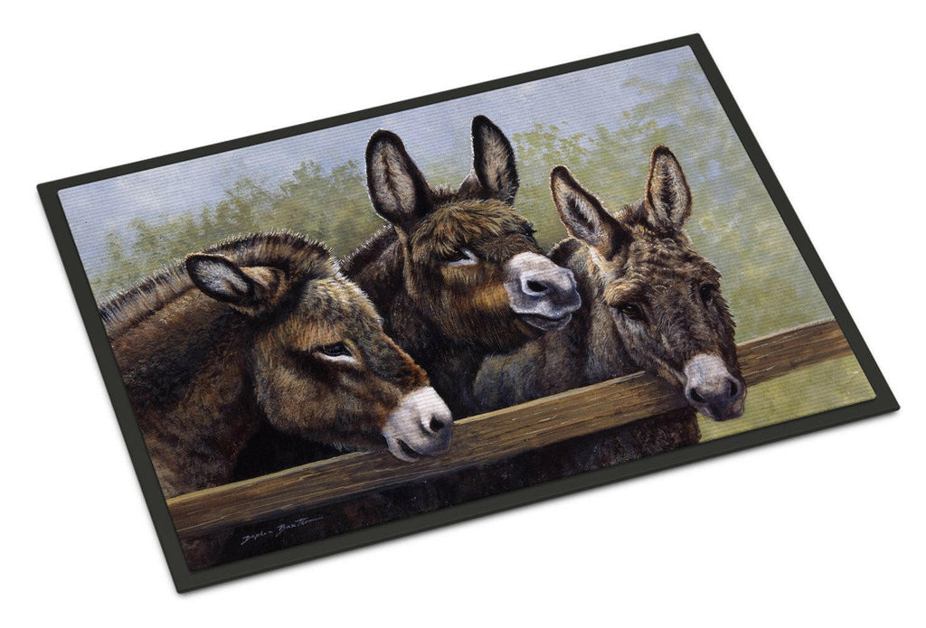 Donkeys by Daphne Baxter Doormat Indoor Outdoor 24H X 36W Front Door Mat Rugs for Entryway, Non Slip Washable Low Pile,