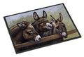 Donkeys by Daphne Baxter Doormat Indoor Outdoor 18H X 27W Front Door Mat Rugs for Entryway, Non Slip Washable