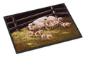 Pigs Piglets at Dinner Time Doormat Indoor Outdoor 24H X 36W Front Door Mat Rugs for Entryway, Non Slip Washable Low Pile,