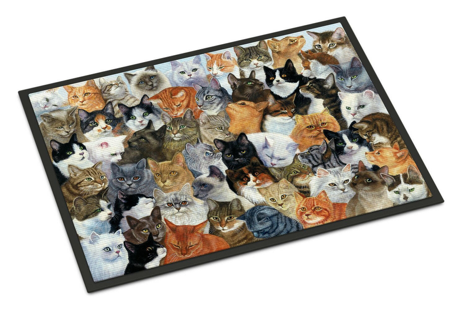 Cats Galore Doormat Indoor Outdoor 24H X 36W Front Door Mat Rugs for Entryway, Non Slip Washable Low Pile,