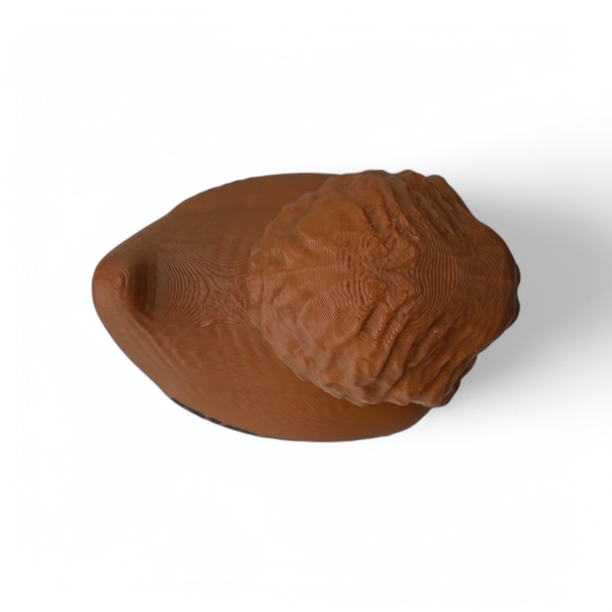 Bigfoot Duck – 3D-Printed Forest Duck with Sasquatch Style & Mystery Vibes