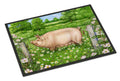 Pig In Dasies by Debbie Cook Doormat Indoor Outdoor 24H X 36W Front Door Mat Rugs for Entryway, Non Slip Washable Low Pile,