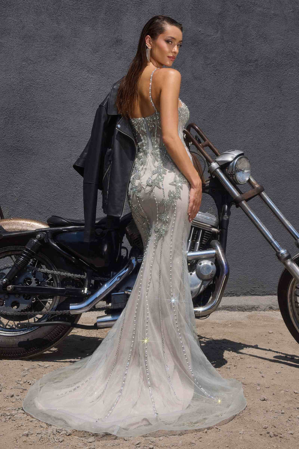 Ladivine CR383 Fitted Silhouette Crystal and Sequin Formal Dress