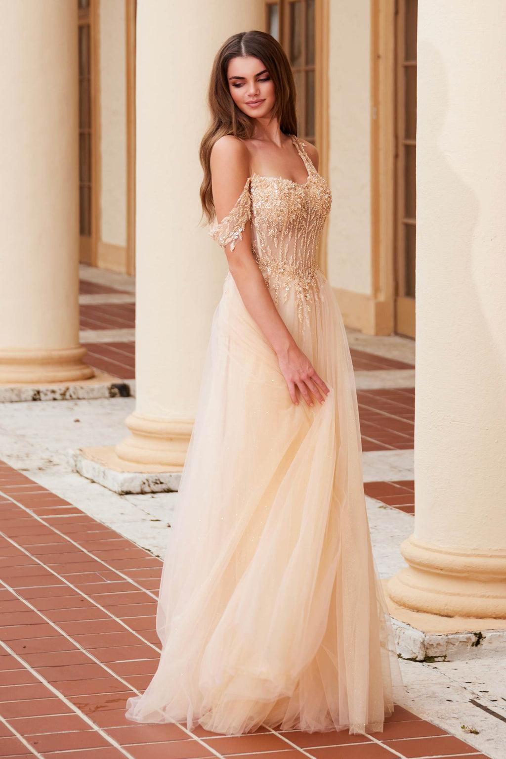Nox Anabel F1567 Embroidered A-Line Sheer Boned Waistline Dress