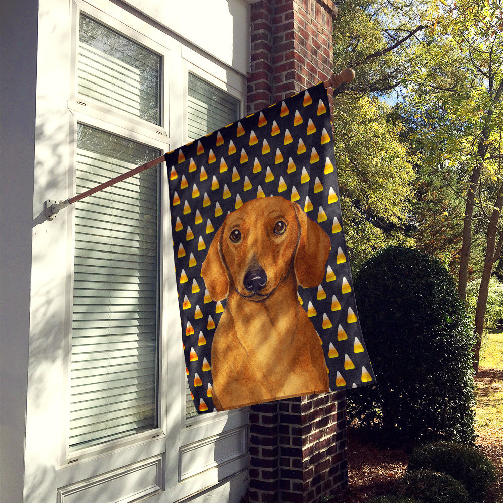 Dachshund Candy Corn Halloween Portrait House Flag 28x40 Porch Sleeve Pole Decorative Outside Yard Banner Artwork Wall Hanging, Polyester