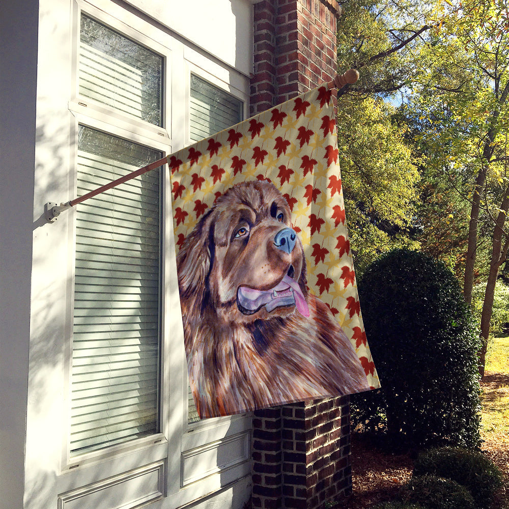 Newfoundland Fall Leaves Portrait House Flag 28x40 Porch Sleeve Pole Decorative Outside Yard Banner Artwork Wall Hanging, Polyester