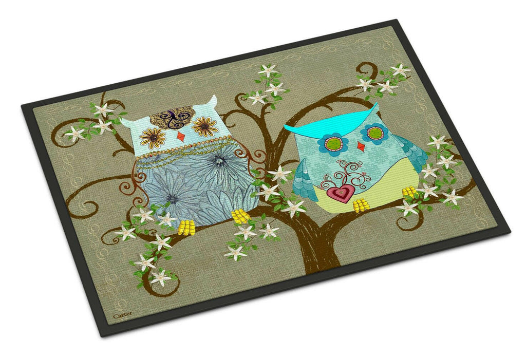 The Friendly Ladies Owl Doormat Indoor Outdoor 24H X 36W Front Door Mat Rugs for Entryway, Non Slip Washable Low Pile,