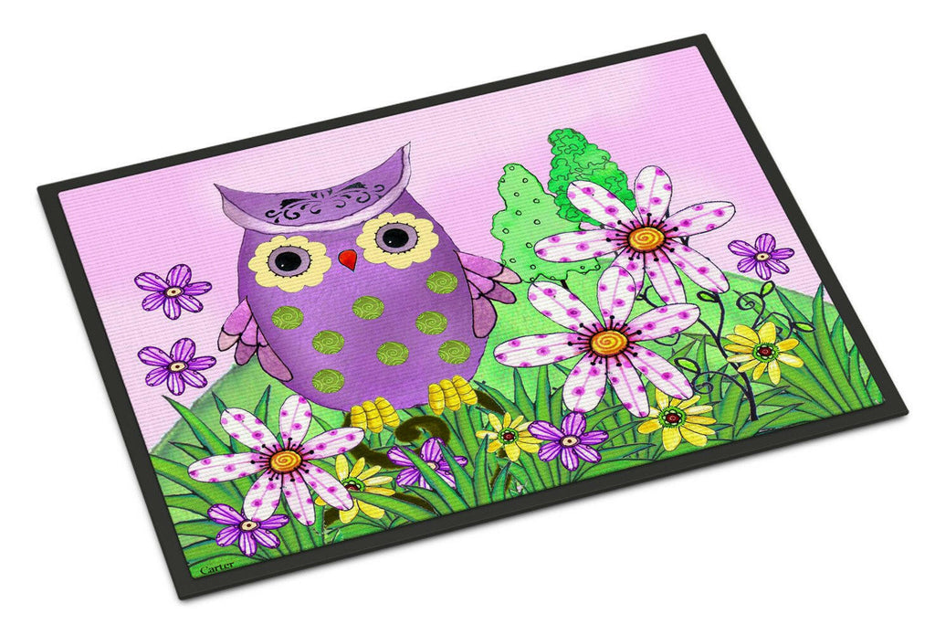 Who is Your Friend Owl Doormat Indoor Outdoor 24H X 36W Front Door Mat Rugs for Entryway, Non Slip Washable Low Pile,