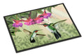 Fuchsia and Hummingbirds Doormat Indoor Outdoor 18H X 27W Front Door Mat Rugs for Entryway, Non Slip Washable