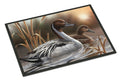 Pintails Doormat Indoor Outdoor 24H X 36W Front Door Mat Rugs for Entryway, Non Slip Washable Low Pile,