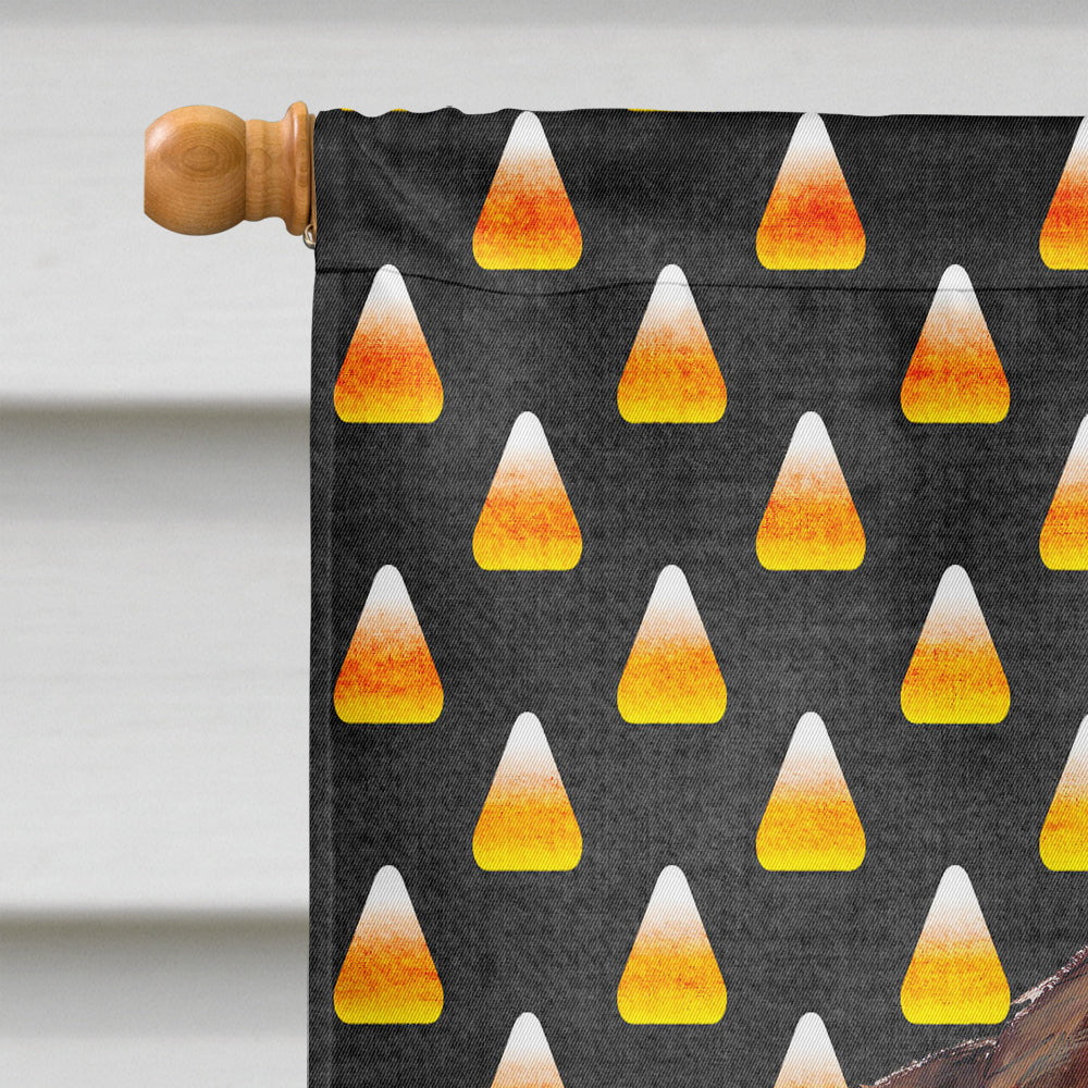 Welsh Springer Spaniel Candy Corn Halloween Portrait House Flag 28x40 Porch Sleeve Pole Decorative Outside Yard Banner Artwork Wall Hanging, Polyester